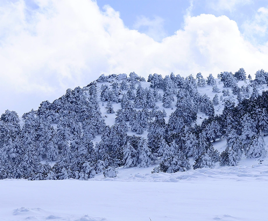 sierra-nevada